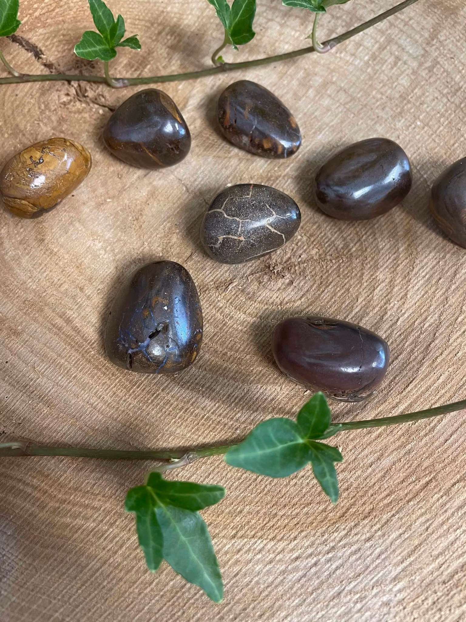 Trumlad opal boulder