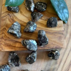 Turitella agat trumlad sten