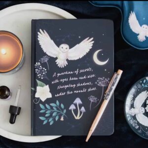 Anteckningsbok den visa ugglan med sodalit penna