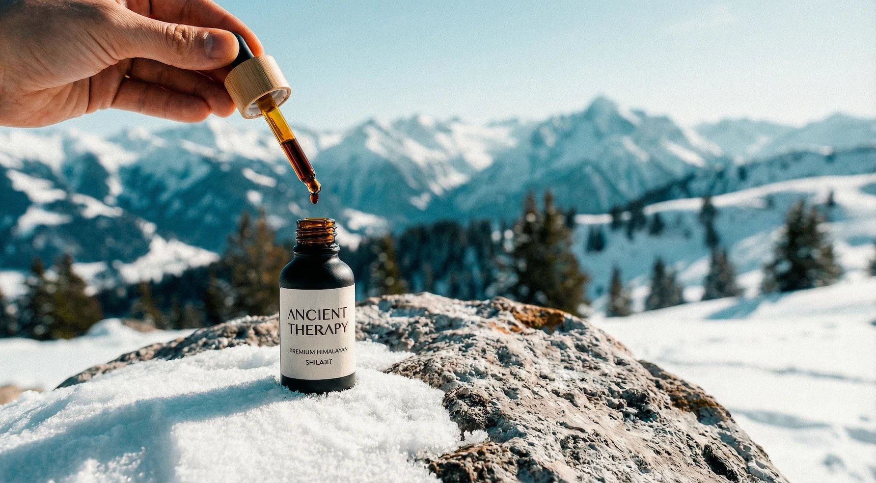 LIGHTS ON — Shilajit + Lion's Mane